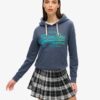 Felpa con cappuccio e grafica con logo Vintage tono su tono