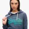 Felpa con cappuccio e grafica con logo Vintage tono su tono