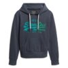Felpa con cappuccio e grafica con logo Vintage tono su tono