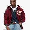 Felpa con cappuccio e zip Vintage Athletic