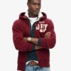 Felpa con cappuccio e zip Vintage Athletic