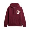 Felpa con cappuccio e zip Vintage Athletic