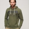 Felpa con cappuccio Vintage Box Gradient