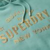Hooded Metallic Logo Dress