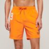 Pantaloncini da bagno Polo 17 pollici riciclati Pantaloncini da bagno Polo 17 pollici riciclati