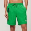 Pantaloncini da bagno Polo 17 pollici riciclati Pantaloncini da bagno Polo 17 pollici riciclati