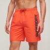 Pantaloncini da bagno Sport Graphic da 17 pollici in materiale riciclato