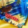 Top bikini a triangolo con lacci